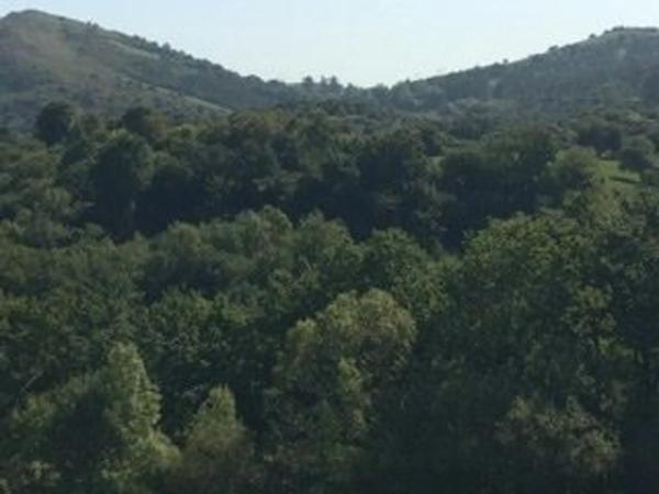 Casa de pueblo en Barrio de la Concha Cimiano s/n