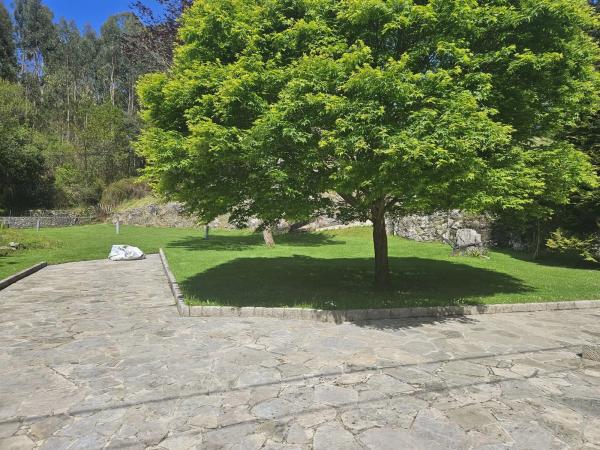 Casa independiente en calle Nueva, 360