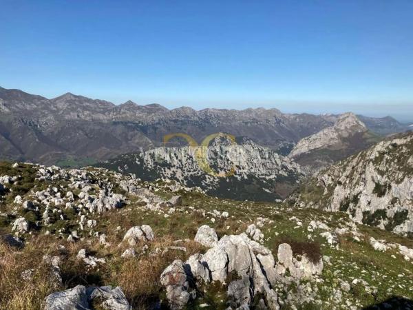 Casa independiente en Caserio Arena