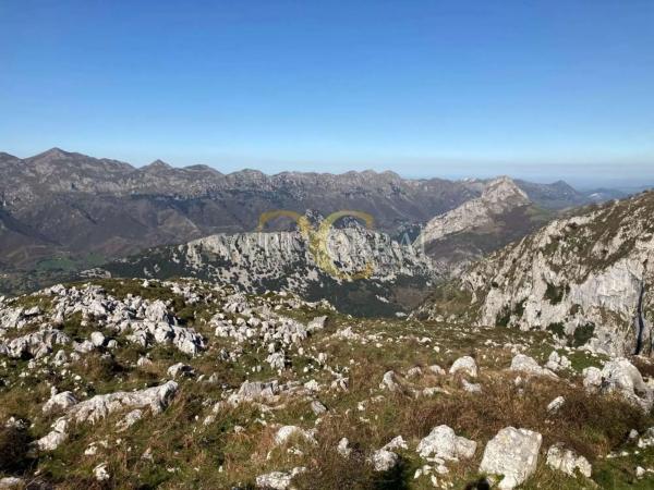 Casa independiente en Caserio Arena