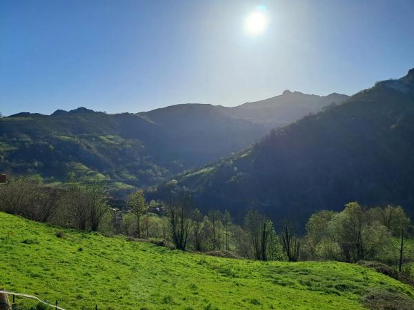 Finca rústica en Lugar Gamonedo, 6