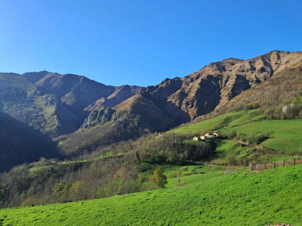 Finca rústica en Lugar Gamonedo, 6