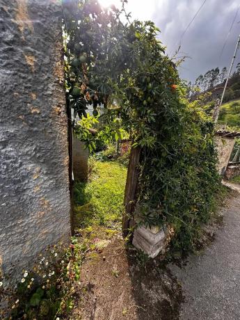 Casa independiente en La Margarita, 2