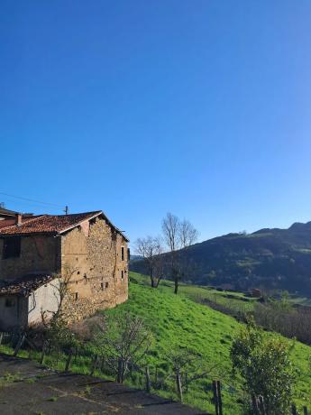 Finca rústica en Lugar Gamonedo, 6