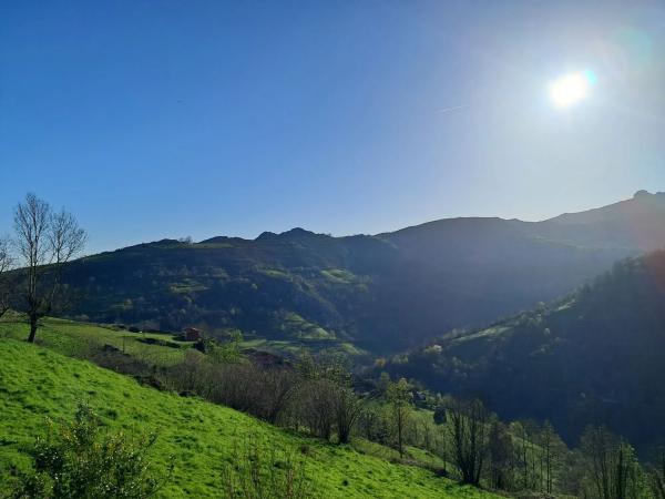 Finca rústica en Lugar Gamonedo, 6
