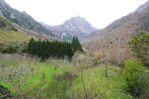 Casa independiente en Poblado Cien