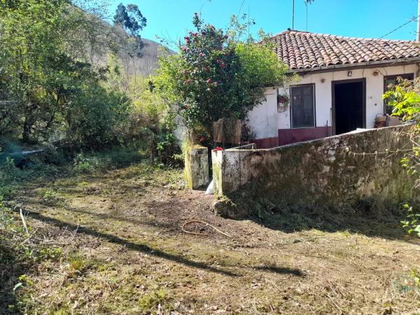 Casa de pueblo en Buda, 1