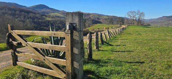 Casa independiente en calle Mestas de Con s/n