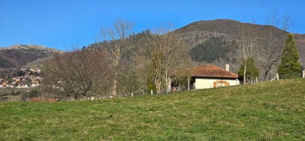 Casa independiente en calle Mestas de Con s/n