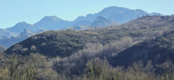 Casa independiente en calle Mestas de Con s/n