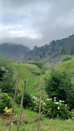 Casa rural en Carrandena Riba, 2