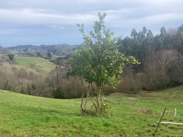Finca rústica en carretera de Sardedo