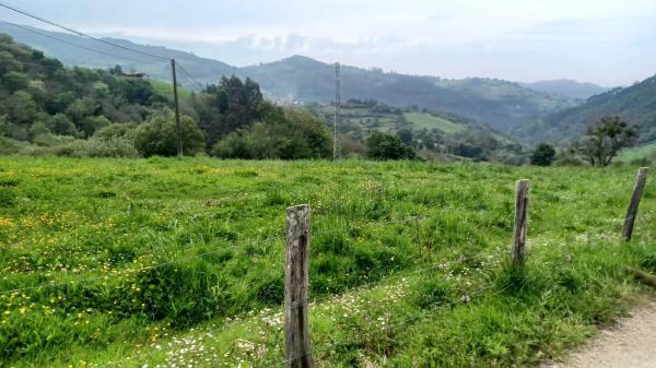 Casa rural en Carrandena Riba, 2