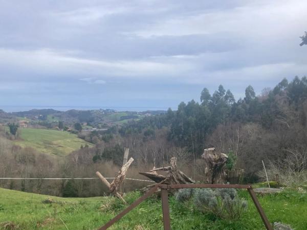 Finca rústica en carretera de Sardedo