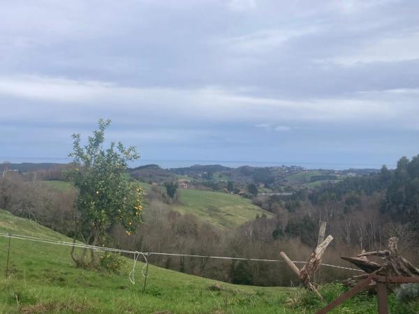 Finca rústica en carretera de Sardedo
