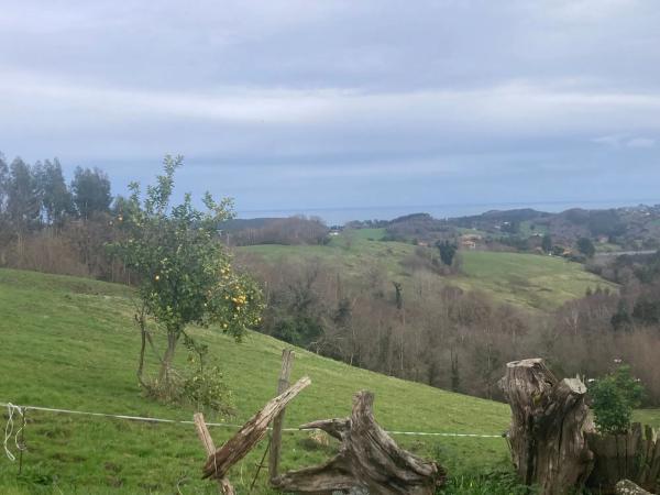 Finca rústica en carretera de Sardedo