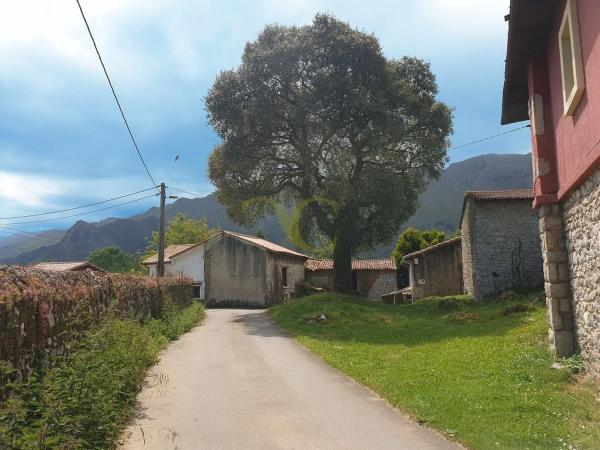 Casa independiente en Lln-7