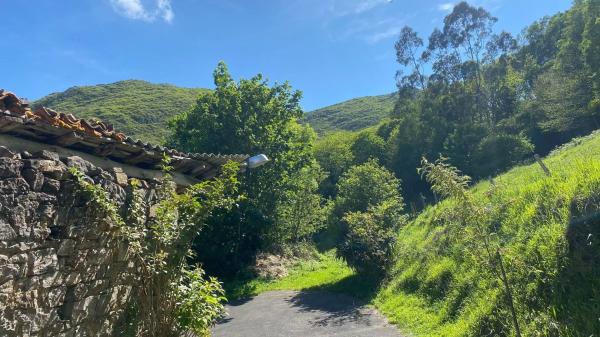 Casa independiente en Llenín