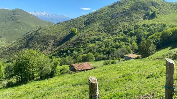 Casa independiente en Llenín