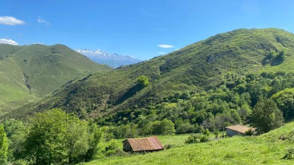Casa independiente en Llenín
