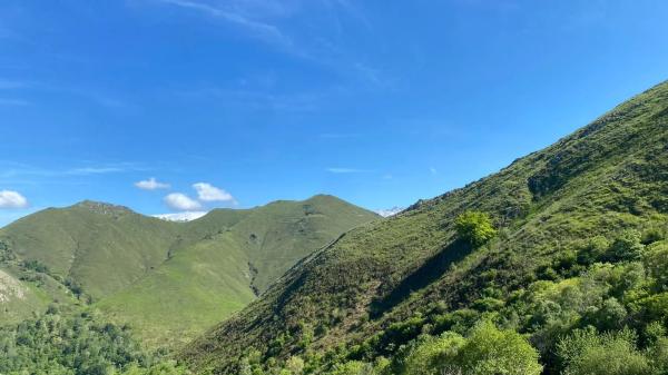 Casa independiente en Llenín