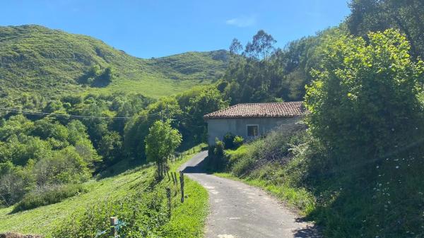 Casa independiente en Llenín