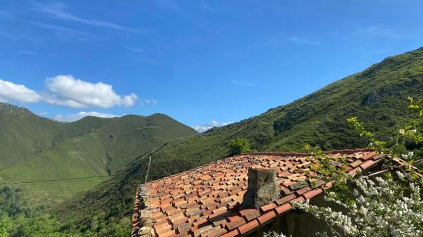 Casa independiente en Llenín