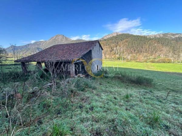 Casa independiente en puente Nuevo - Riensena