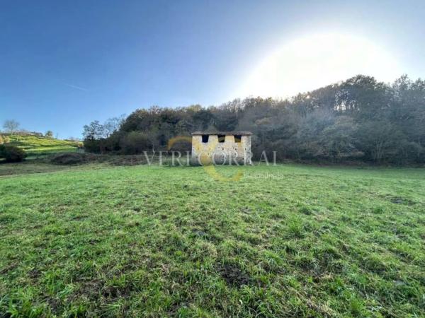 Casa independiente en puente Nuevo - Riensena
