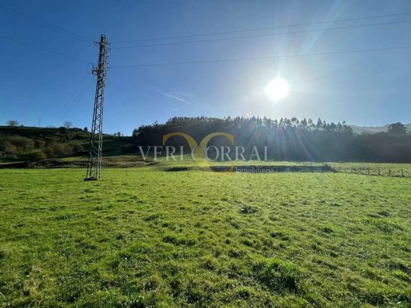 Casa independiente en puente Nuevo - Riensena