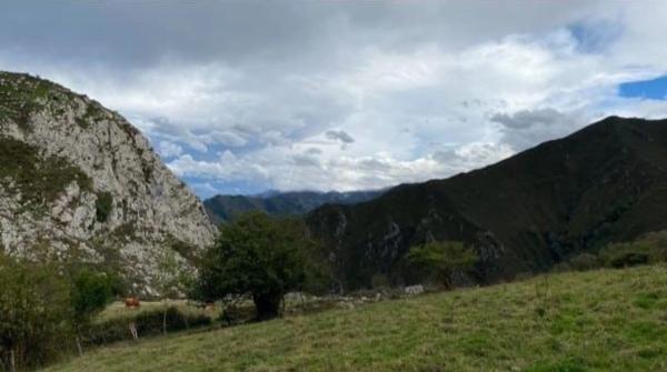 Finca rústica en Camino, 22