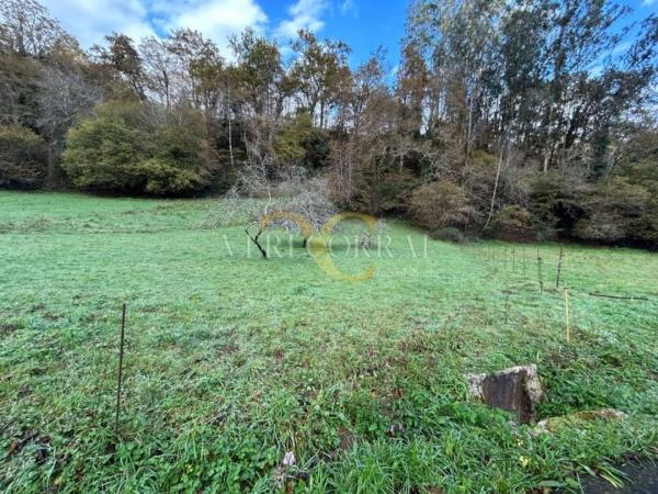 Casa independiente en calle Mestas