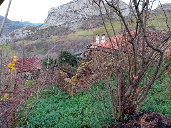 Casa rural en villaverde, 5