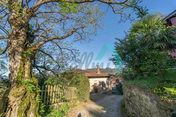 Casa independiente en onao