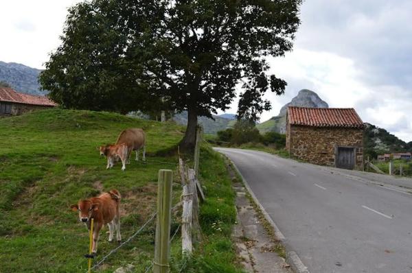 Casa rural en Cavandi, 3