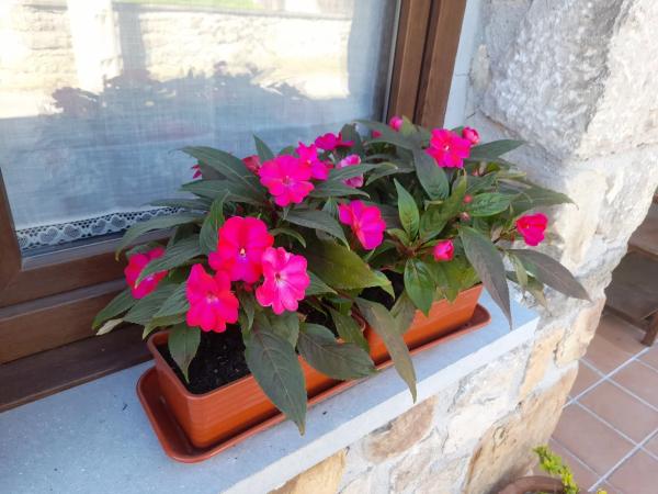 Casa rural en la caleyona, 53