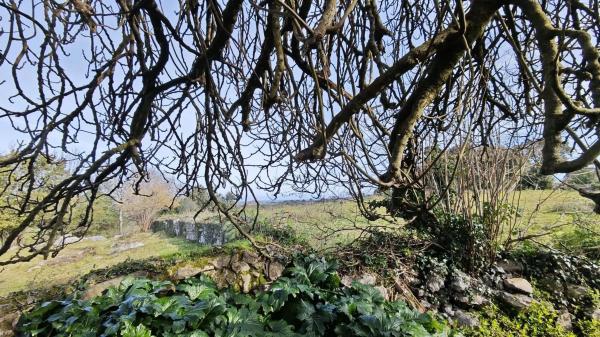 Casa de pueblo en de Arriba celorio s/n