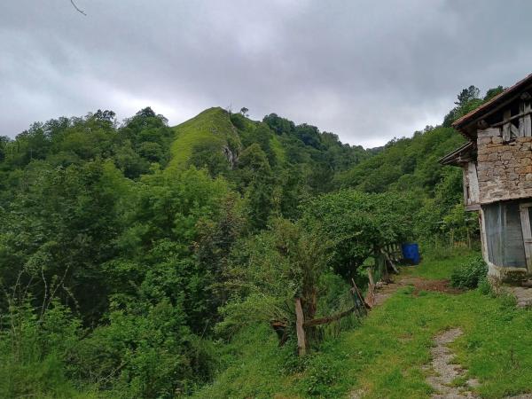 Casa de pueblo en aldea de Rozapanera, 14