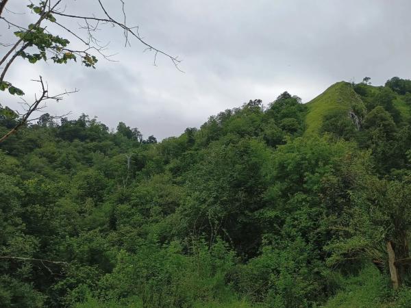 Casa de pueblo en aldea de Rozapanera, 14