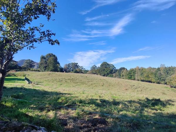 Casa independiente en Cardoso s/n