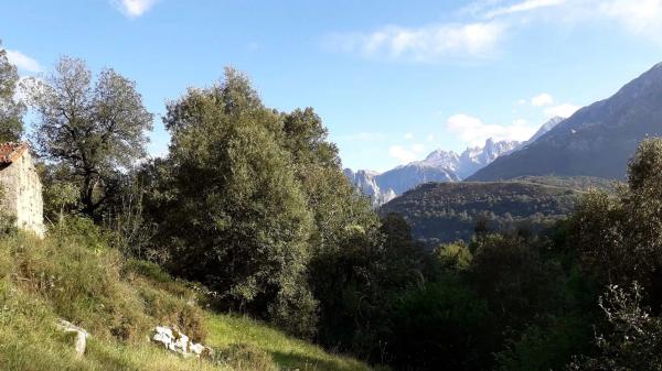 Finca rústica en Asiego, cabrales