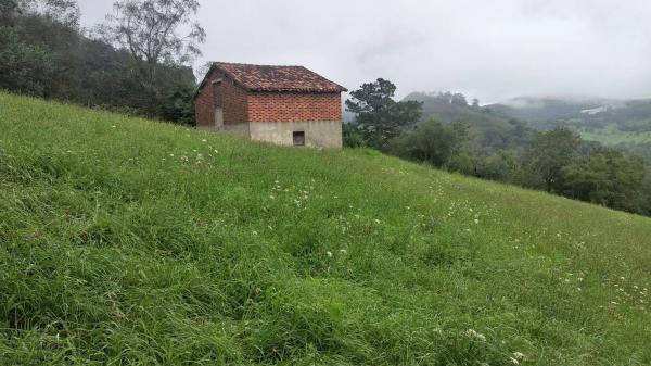 Finca rústica en carretera el pedroso s/n