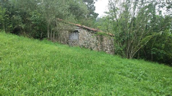 Finca rústica en carretera el pedroso s/n