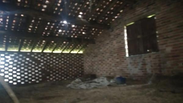 Finca rústica en carretera el pedroso s/n