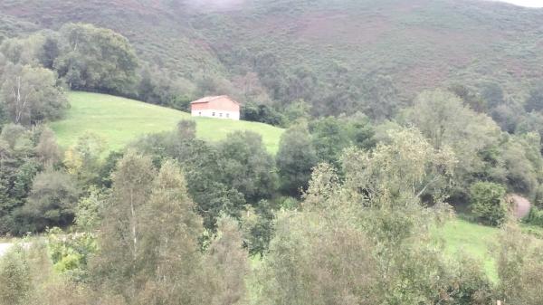 Finca rústica en carretera el pedroso s/n
