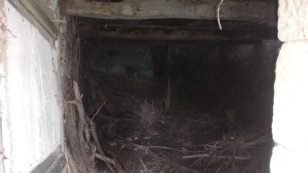 Finca rústica en carretera el pedroso s/n