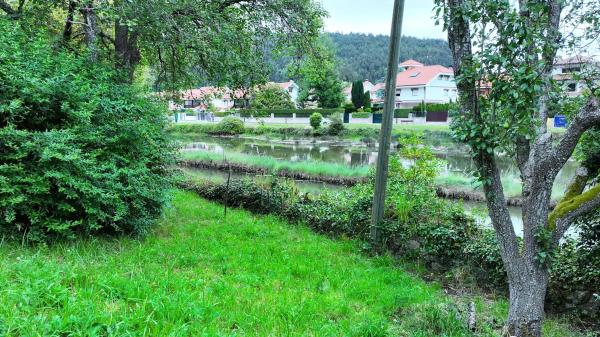 Casa independiente en puente el Pilar s/n
