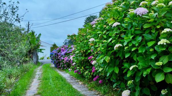 Casa independiente en puente el Pilar s/n