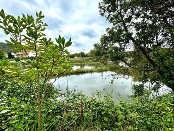 Casa independiente en puente el Pilar s/n
