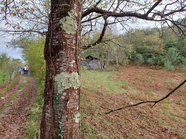 Finca rústica en Abamia s/n Cuetualeoa